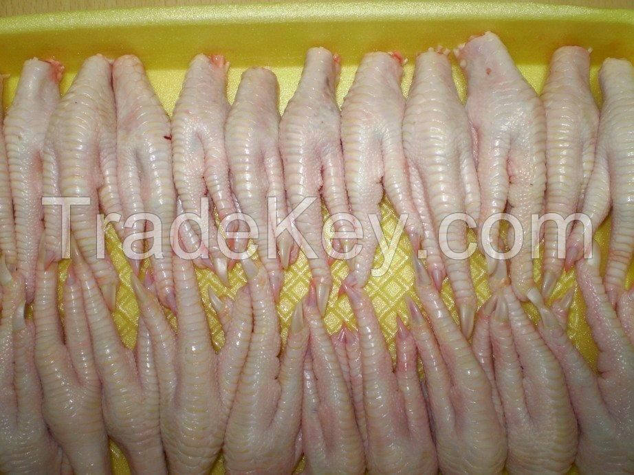 Frozen Chicken Feet/paws