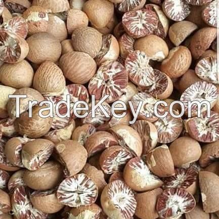 DRIED BETEL NUTS