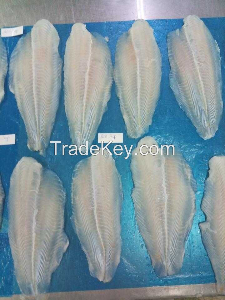 FROZEN PANGASIUS FILLET