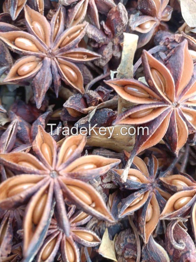 star anise