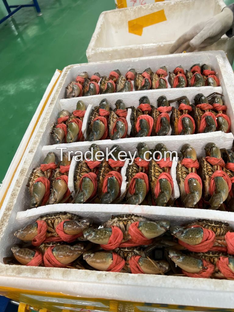 Crab