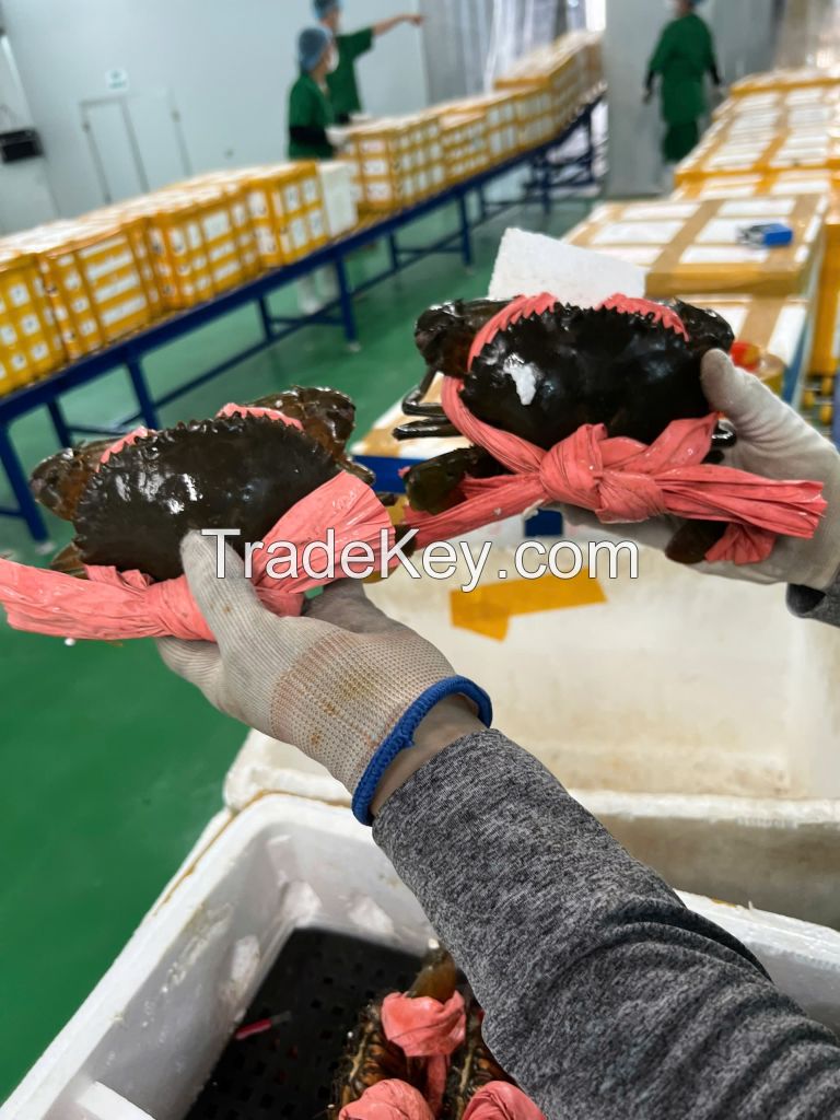 Crab