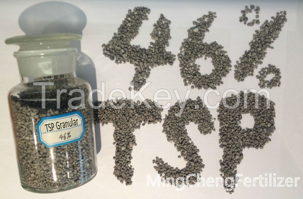 Single Superphosphate SSP Fertilizer