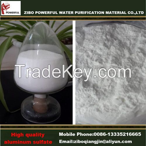 Aluminum Sulfate Powder