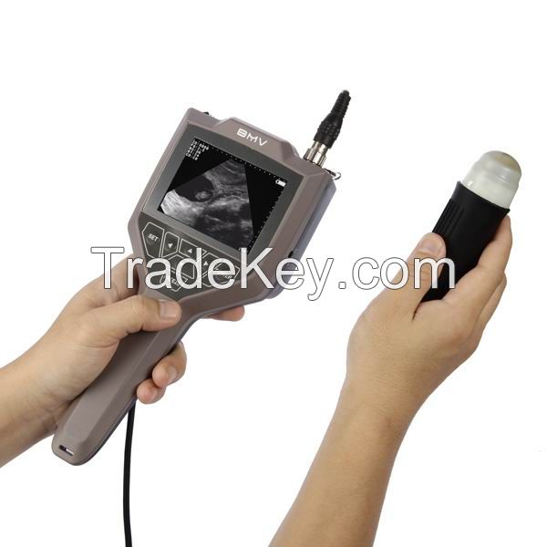 Full-digital swine, ovine ultrasound scanner