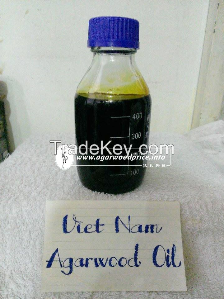 Pure agarwood oil of Vietnam