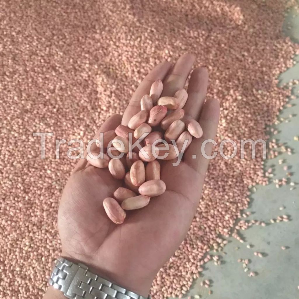 2015 NEW CROP CHINESE  PEANUT KERNELS ALL SIZES