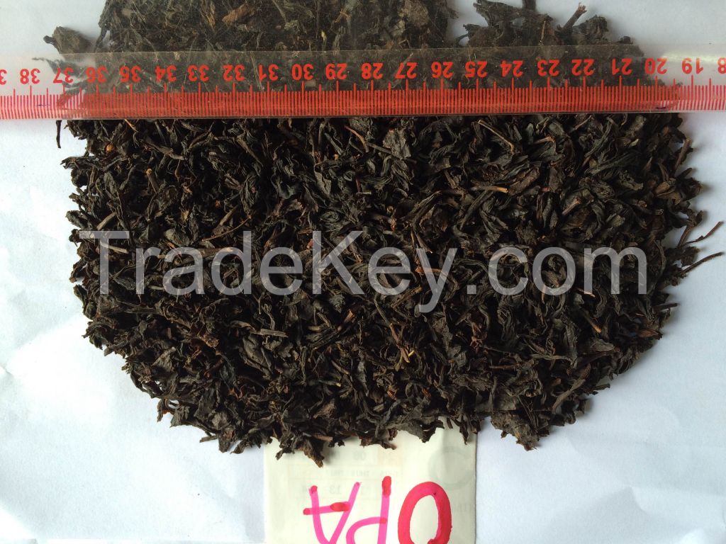 Black Tea OPA/Vietnam Competitive Price Black Tea