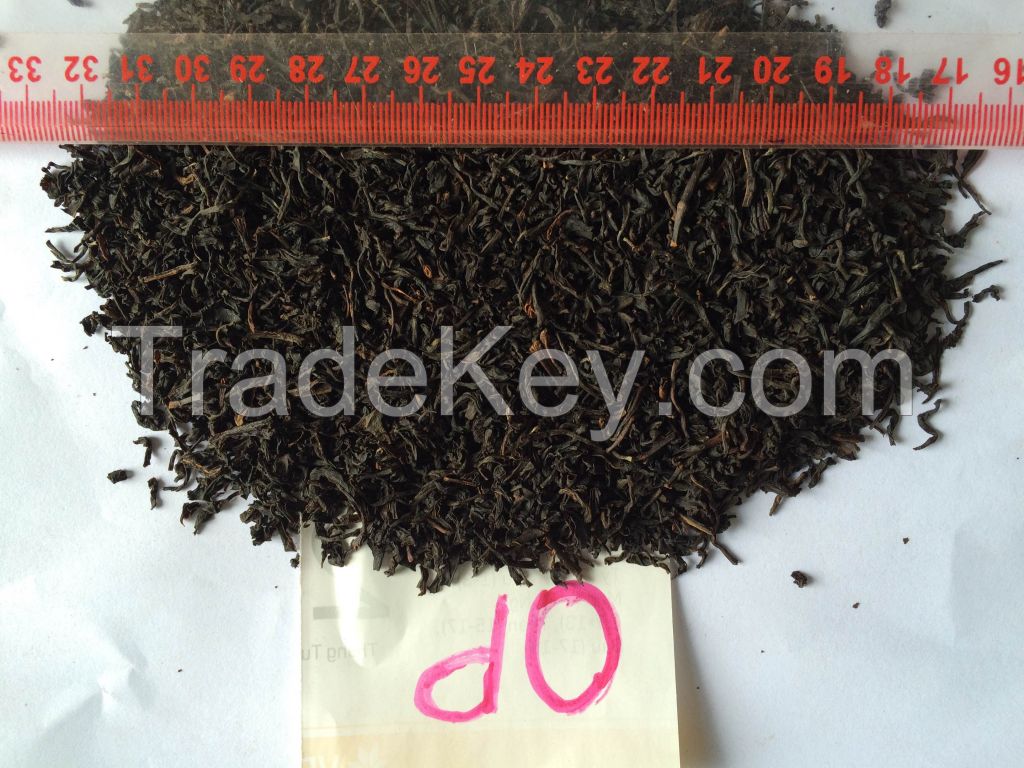 High Quality Black Tea OP/ Vietnam Low Price Black Tea