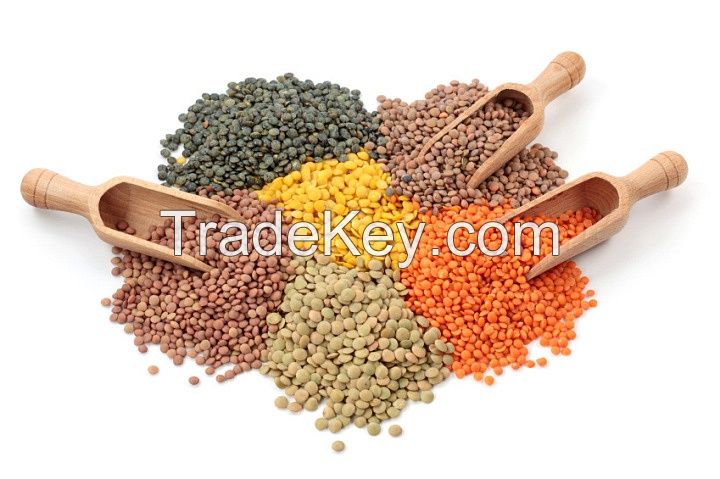 Canadian Lentils, Peas and Pulses