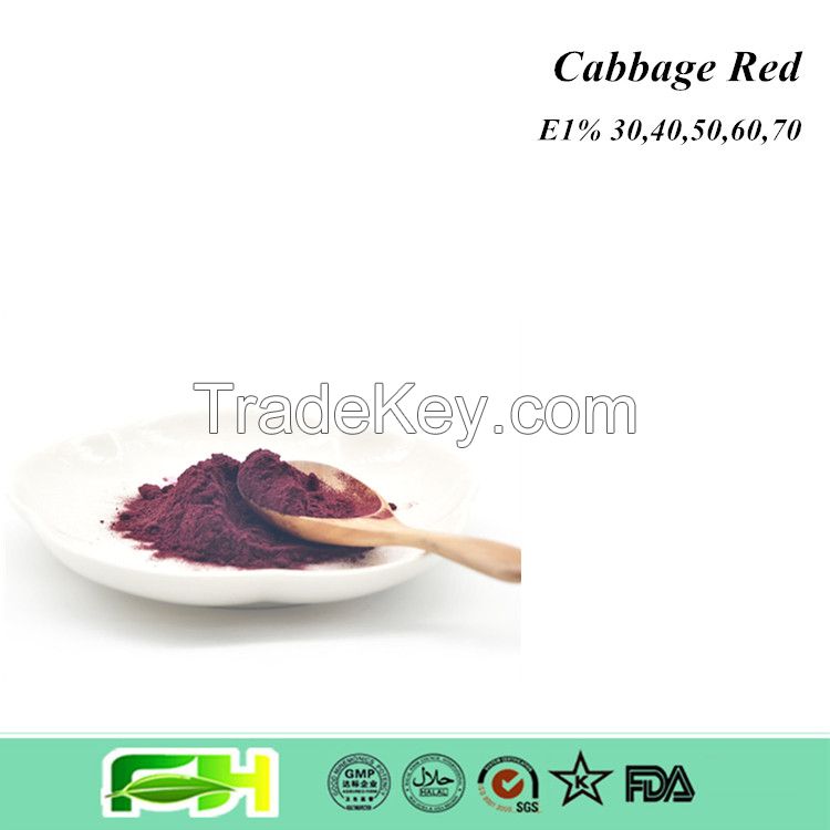 100% Natural Cabbage Extract Edible Colorant Cabbage Red