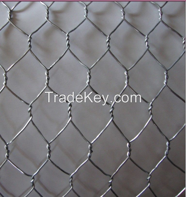 hexagnonal wire netting