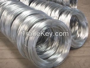 Hot Dip / Electro Galvanized wire Coils