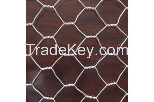 Galvanized Iron Hexagonal Wire Netting 