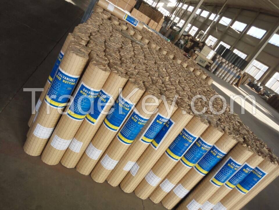 Welded Wire Mesh Rolls