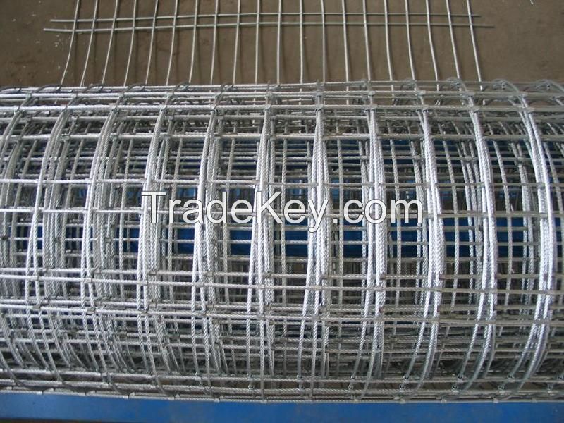 Galvanized Welded Wire Mesh for Cages