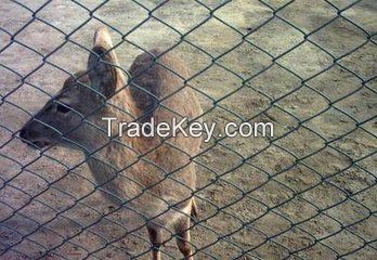 Wire Netting / Chicken Wire Mesh / Hexagonal Wire Fencing