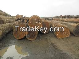 Quality timber logs and sawn woods