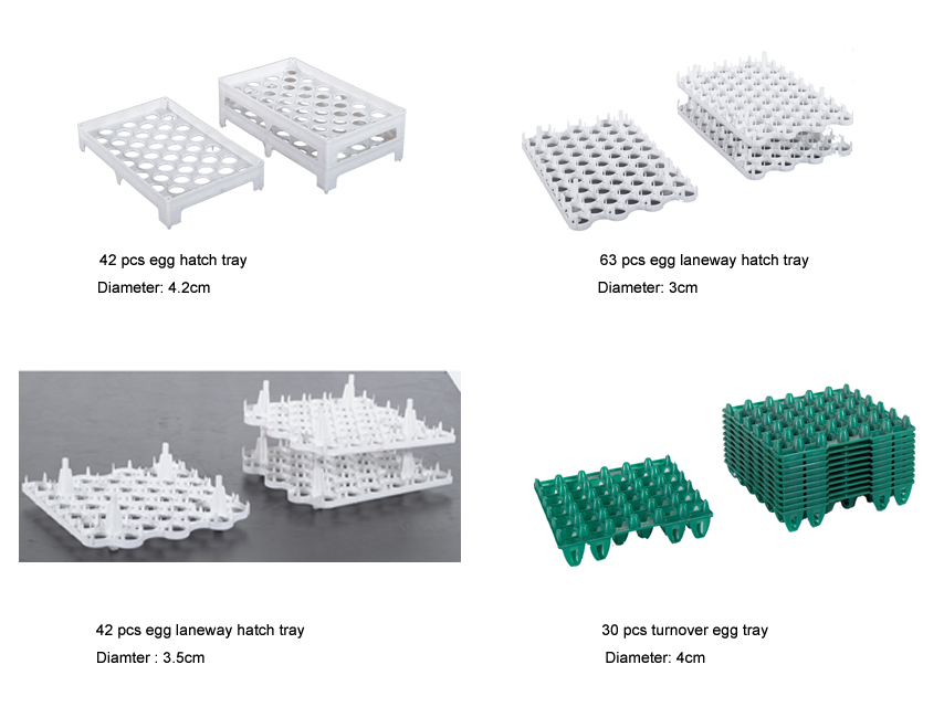 Plastic Egg Hatch Tray