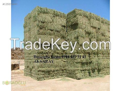 alfalfa hay from turkey