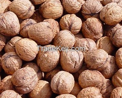 walnuts from turkey