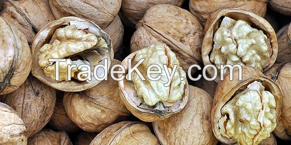 walnuts from turkey