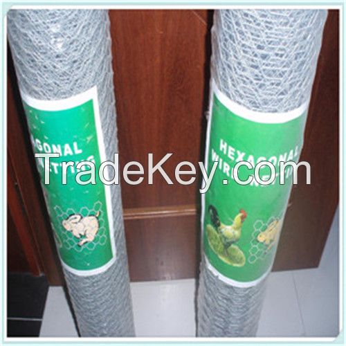 lowest price chicken wire /chicken mesh/hexagonal wire mesh (factory manufacture)