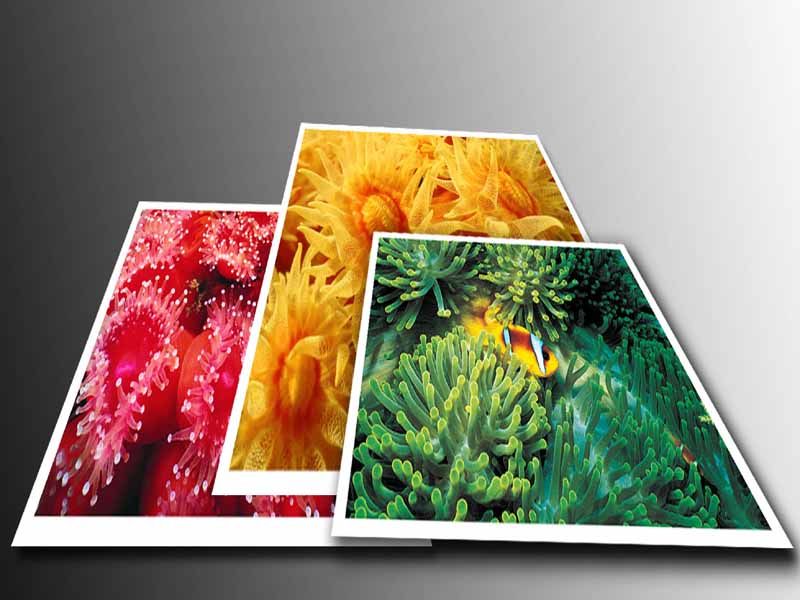 inkjet photo paper