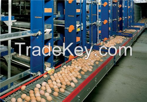 Automatic Egg Collecting Equipment