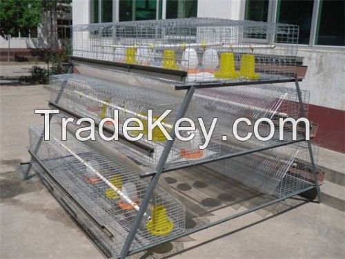 Chicken Layer Cage