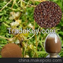 Dodder Seed Extract 