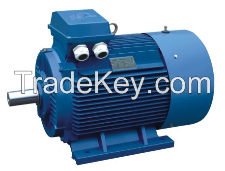 three phase asynchronous motor AC