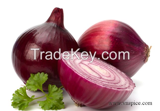 fresh indian onion