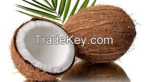 Coconuts 