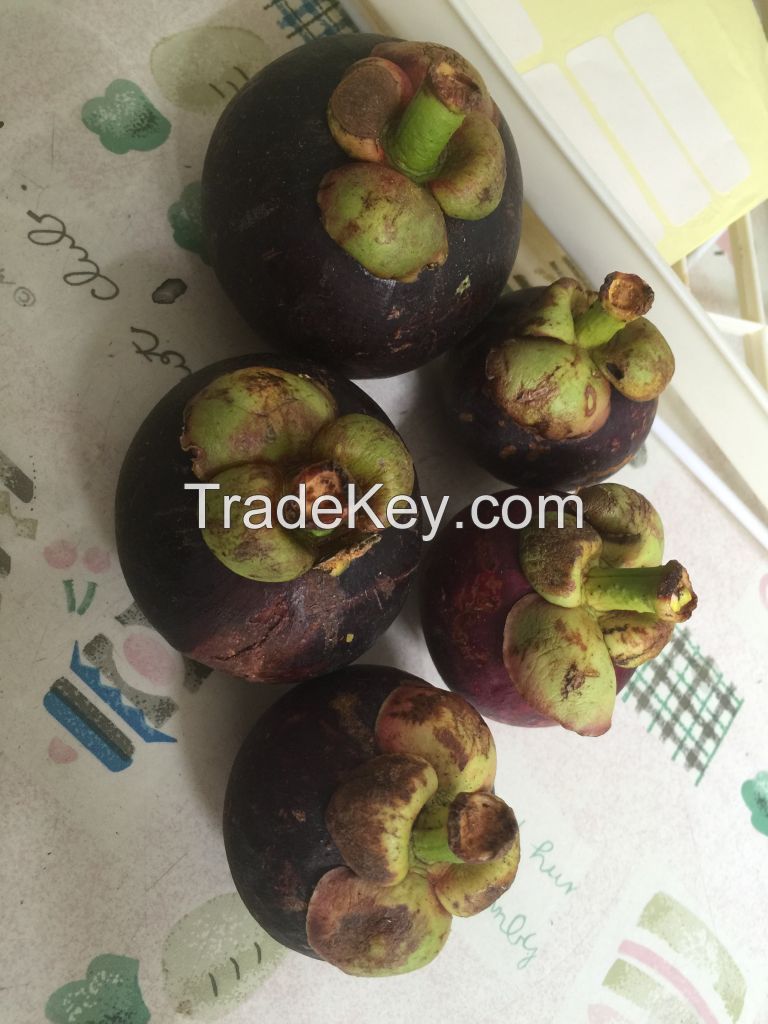 Indonesia Mangosteen