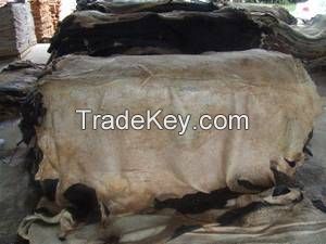 Raw Wet Salted Cattle Hides | Donkey skins | Cow Skins /Buffalo horns for sale