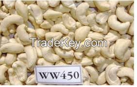 cashew nut 