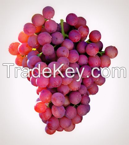 Grapes Fresh Flame seedless