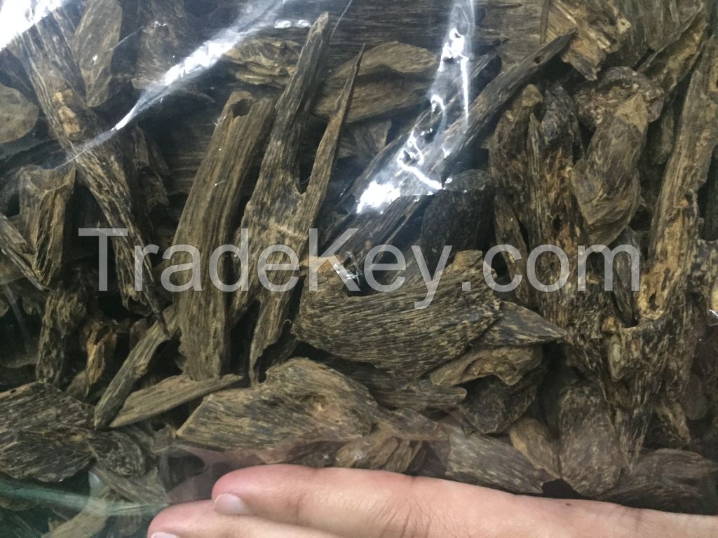 Agarwood and Agarwood Oil