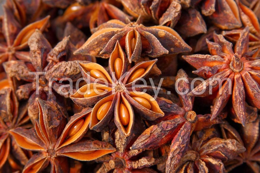 Star Anise