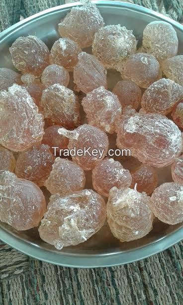 Gum Arabic Acacia Senegal ( HASHAB )