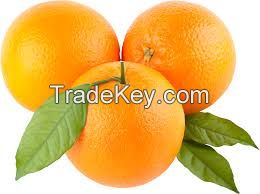 Fresh Oranges