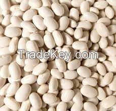 White Kidney Beans