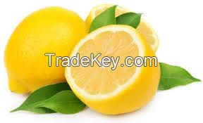 Fresh lemons