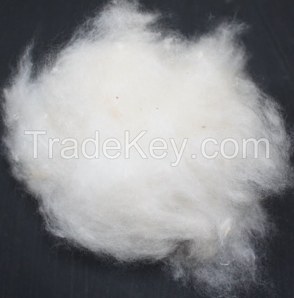 Natural Kapok fiber