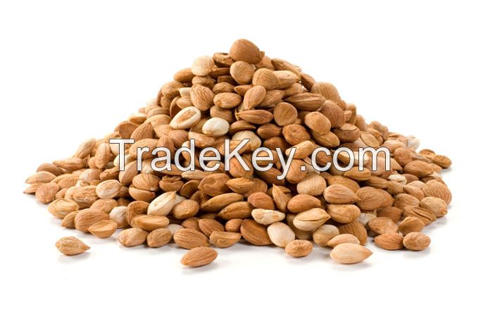 Apricot Kernels