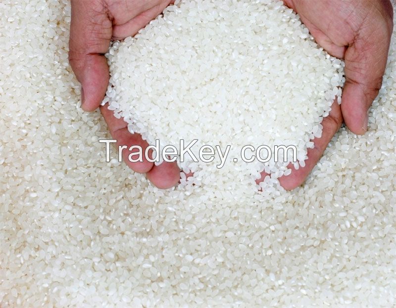 100% Broken Rice