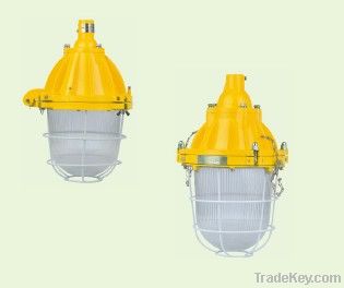 Explosion-proof light fittings