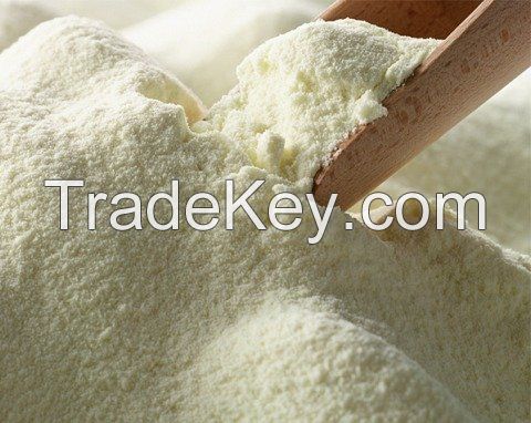 Healthy Camel Milk Powder / Fresh Camel Milk