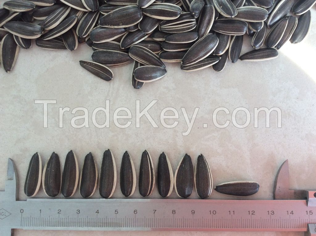 Best quality sunflower seeds 5009,3638